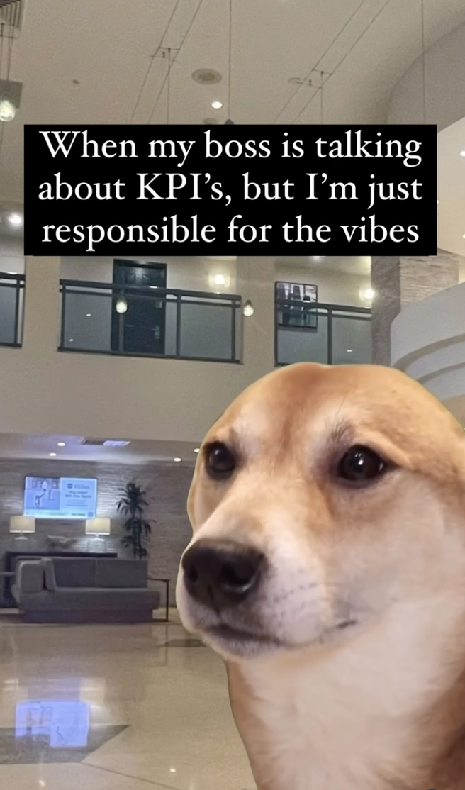 KPIS DOG MEME